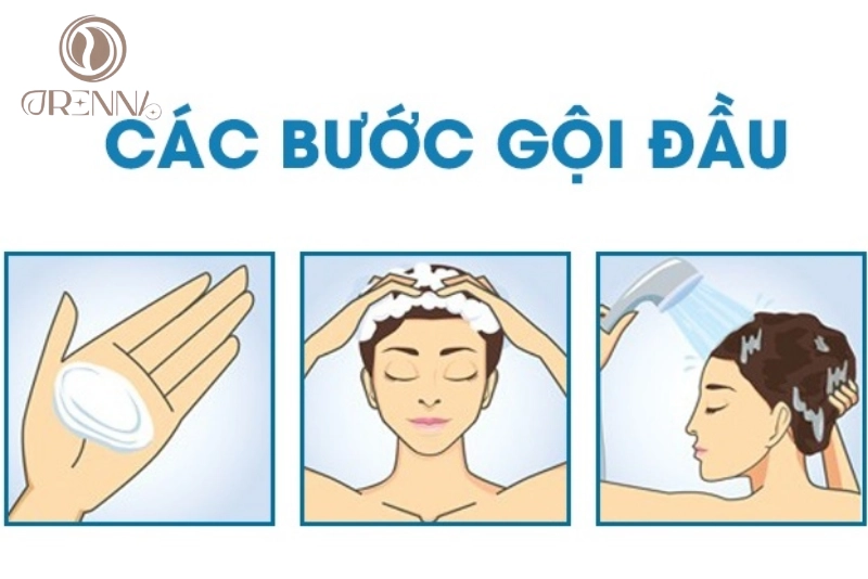 Gội đầu đúng kỹ thuật và tần suất