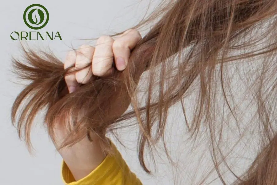 Cách Phục Hồi Tóc Hư Tổn Tại Nhà Nhanh Chóng, Hiệu Quả 