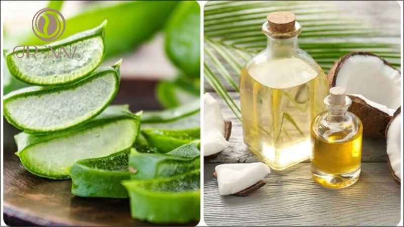 Mặt nạ nha đam và dầu dừa
