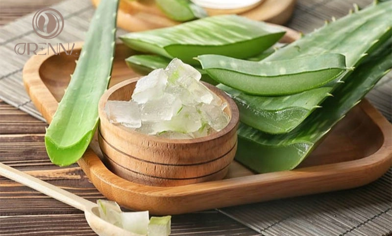 Nha đam tươi dưỡng ẩm