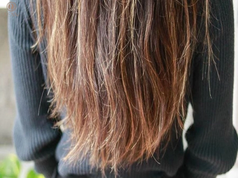 7 Cách chữa đuôi tóc khô xơ tận gốc, hiệu quả tại nhà