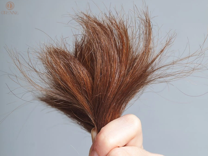 Hiểu rõ nguyên nhân gây khô xơ đuôi tóc