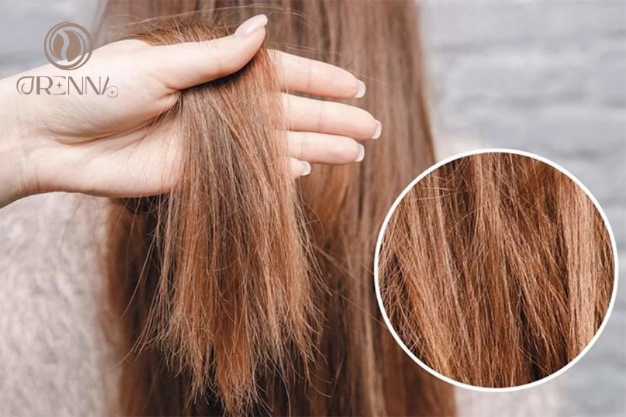 10+ Cách Làm Tóc Khô Xơ Trở Nên Mềm Mượt, Óng Ả Tại Nhà Hiệu Quả