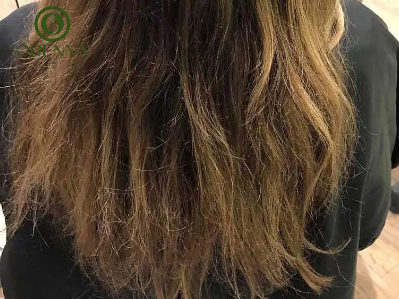 tóc chẻ ngọn