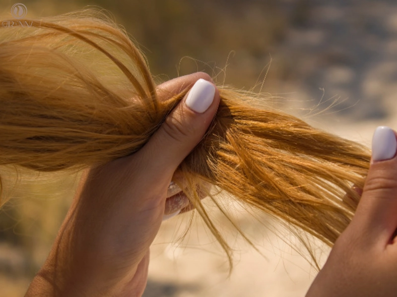 Phục hồi tóc gãy hiệu quả: Giải pháp toàn diện từ chăm sóc thuần chay