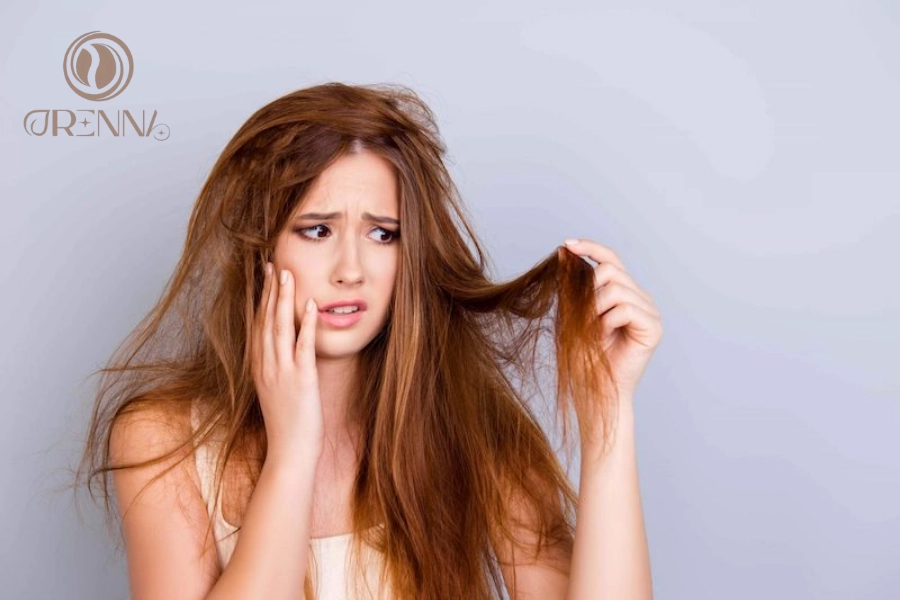 Top 10 Dầu Xả Phục Hồi Tóc Khô Xơ Được Ưa Chuộng Nhất Hiện Nay
