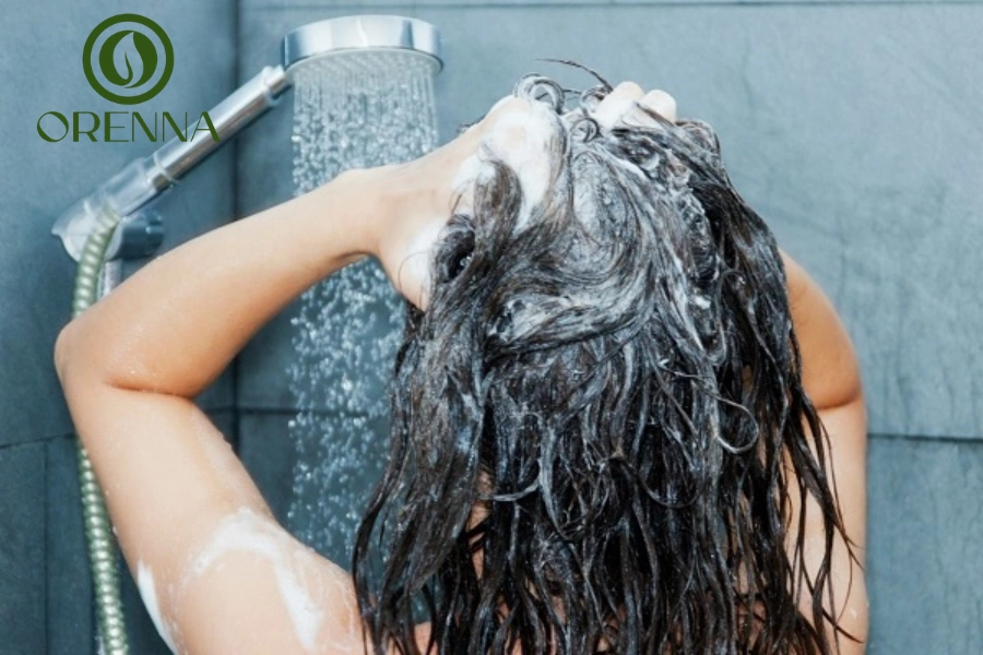 10 Loại Dầu Gội Trị Hói, Kích Thích Mọc Tóc Được Ưa Chuộng Hiện Nay