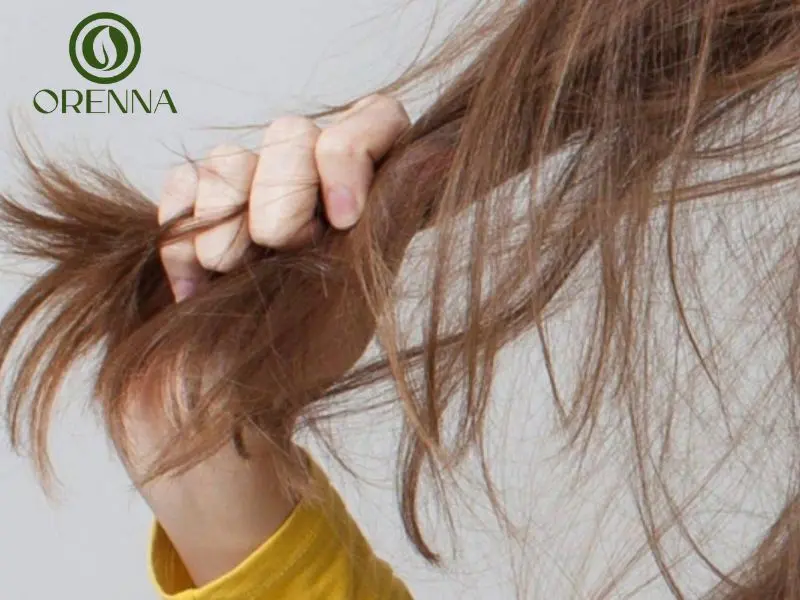 phục hồi tóc hư tổn