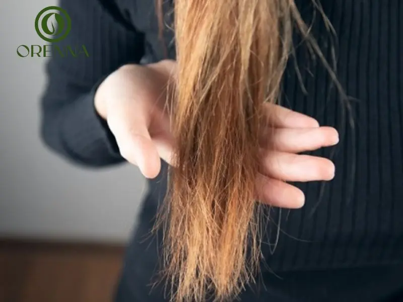 Cách khắc phục tóc chẻ ngọn hiệu quả an toàn