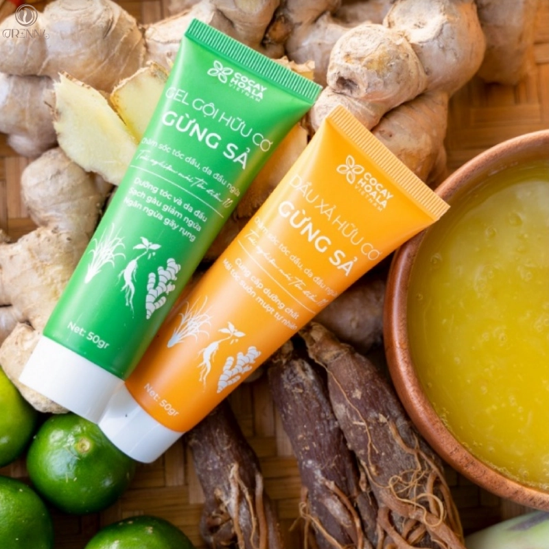 Dầu gội hữu cơ gừng sả Cocayhoala