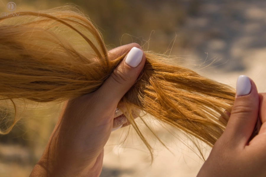 Cách Phục Hồi Tóc Gãy Rụng Cho Mái Tóc Chắc Khỏe Từ Gốc Đến Ngọn