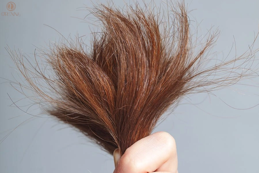 7 Cách Chữa Đuôi Tóc Khô Xơ Tận Gốc, An Toàn, Hiệu Quả